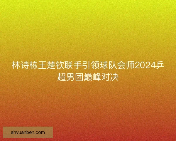 林诗栋王楚钦联手引领球队会师2024乒超男团巅峰对决